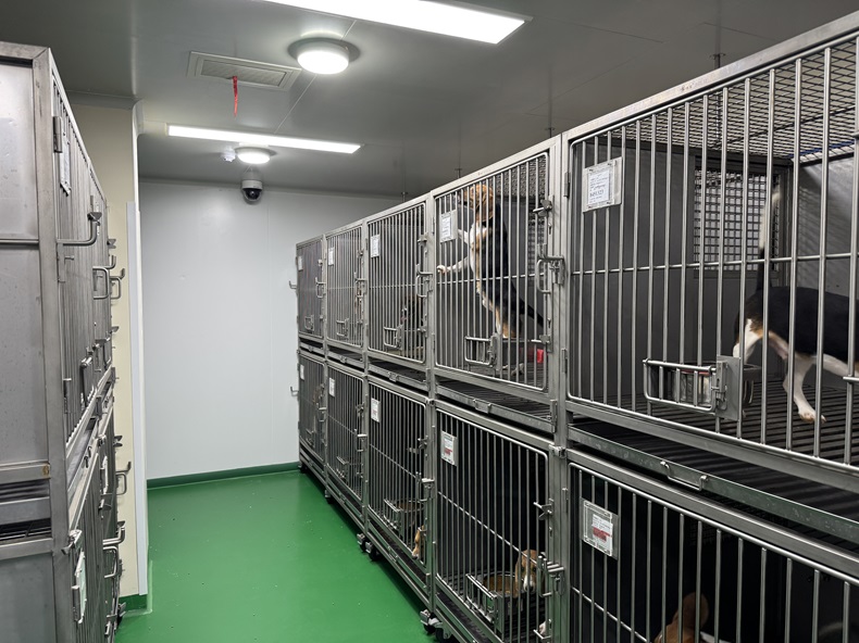 河北實(shí)驗(yàn)室研究所視頻監(jiān)控系統(tǒng)